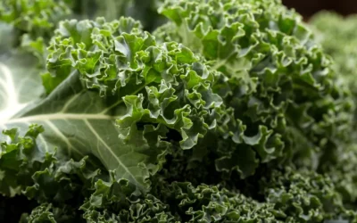 KALE WITH TOMATO GARLIC & THYME